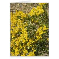 Yellow Prairie Wildflower Card cards