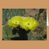 Yellow Prickley Pear Cacti cards