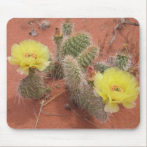 Yellow Prickley Pear cacti mousepads