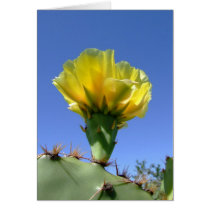Yellow prickly pear cactus flower cards