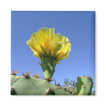 Yellow prickly pear cactus flower refrigerator magnets