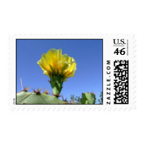 yellow prickly pear cactus flower postage stamp