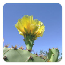 Yellow prickly pear cactus flower sticker