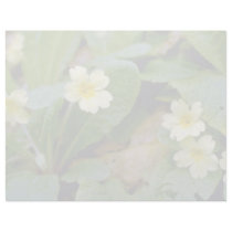 yellow Primrose flowers Letterhead Template