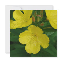 Yellow Primrose Invitations
