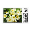 Yellow Primroses 1 postage by blaisem Yellow Primroses 1 postage