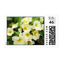 Yellow Primroses 1 postage