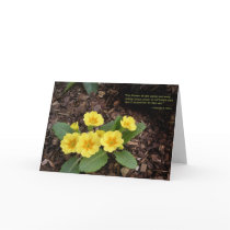 Yellow primroses: Spring is on the way! cards