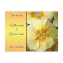 Yellow Primula Save the date postcard postcards