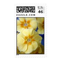 Yellow Primulas stamps