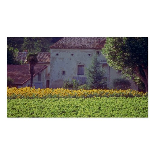 yellow Provencal mas near Carpentras in field of s Business Card Templates (back side)