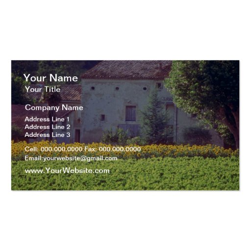 yellow Provencal mas near Carpentras in field of s Business Card Templates