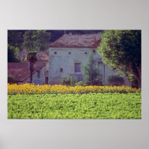 yellow Provencal mas near Carpentras in field of s Poster