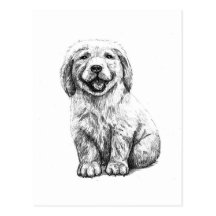 Yellow Puppy Lab Post Cards