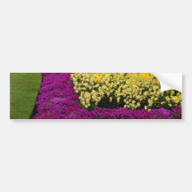 yellow Rainbow flowerbeds flowers Bumper Stickers