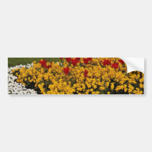 yellow Rainbow flowerbeds flowers Bumper Stickers