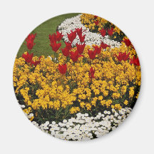 yellow Rainbow flowerbeds flowers Refrigerator Magnet