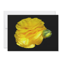 Yellow Ranunculus Custom Announcements