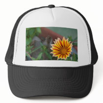 Yellow Red Flower With Green Leaf hats