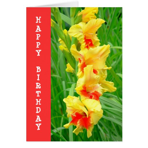 birthday card design