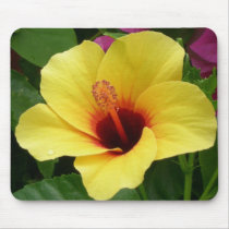 Yellow & Red Hibiscus Mousepad by dlgray Yellow & Red Hibiscus Mousepad