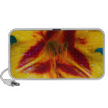 Yellow Red Spark speakers