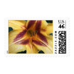 Yellow Red Spark stamps