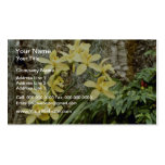 yellow Reindeer (Cymbidium) flowers Business Card Templates