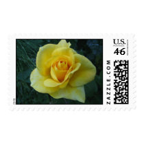 Yellow Rose2 postage