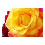 Yellow Rose ACEO Art Trading Cards Business Card