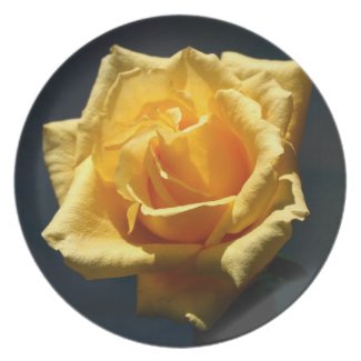 Yellow Rose against dark background design plate