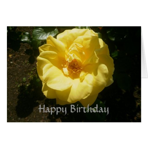 yellow rose birthday card