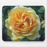 Yellow Rose Bloom Mousepad