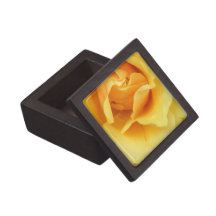 Yellow Rose Blossom Premium Gift Box
