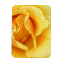 Yellow Rose Blossom Premium Magnet