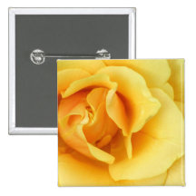 Yellow Rose Blossom Square Button