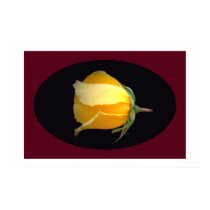 Yellow Rose Bud  posters