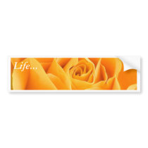 Yellow Rose bumper stickers