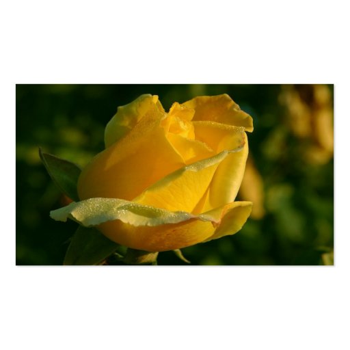 yellow rose business card (front side)