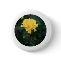 Yellow Rose buttons