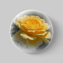 Yellow Rose Button buttons