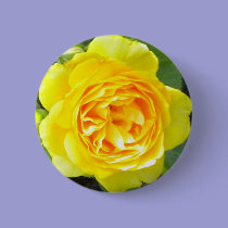 Yellow Rose Button buttons