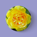 Yellow Rose Button