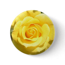 Yellow Rose Buttons