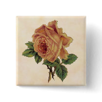 Yellow Rose Buttons