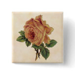 Yellow Rose buttons