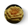 Yellow Rose Pins