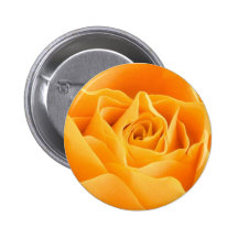 Yellow Rose Buttons