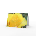 yellow rose card