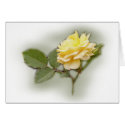 Yellow Rose Card